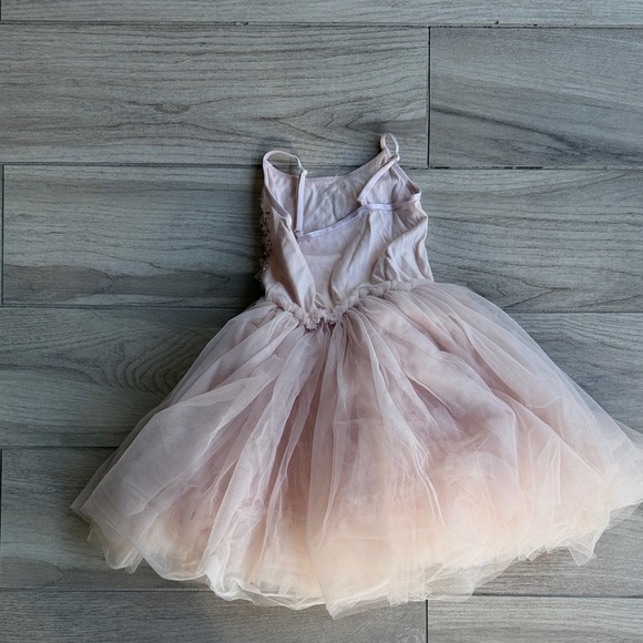 Tutu Du Monde Blush Pink Dress - Picture 4 of 5